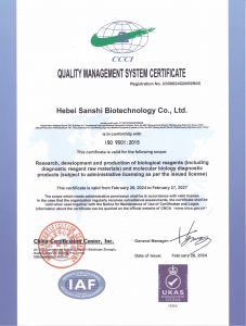 Di 1 ISO 9001