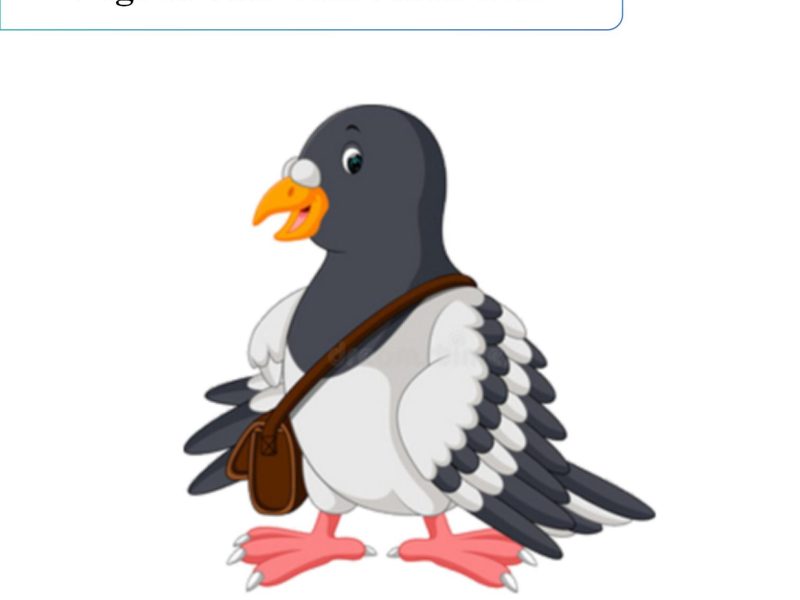 pigeon viral infections