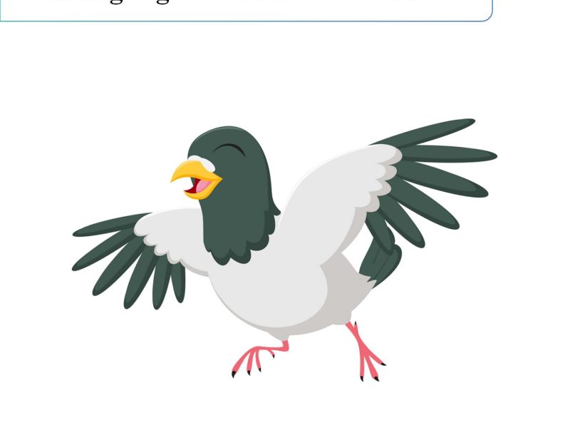 Racing pigeon gene ID certificate